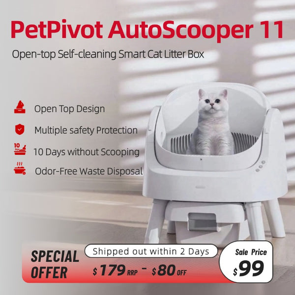 PetPivot AutoScooper 11 Open-Top Self-Cleaning Cat Litter Box（Odor-Free Waste Disposal includes Trash Bags）